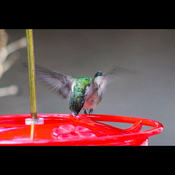 Meet your Posher, Michelle - Picture 4 of 9